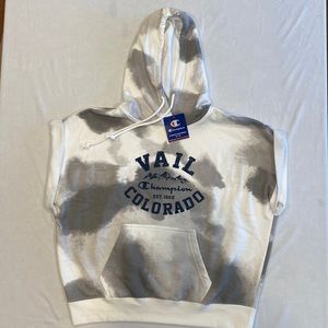 Champion men hoodie